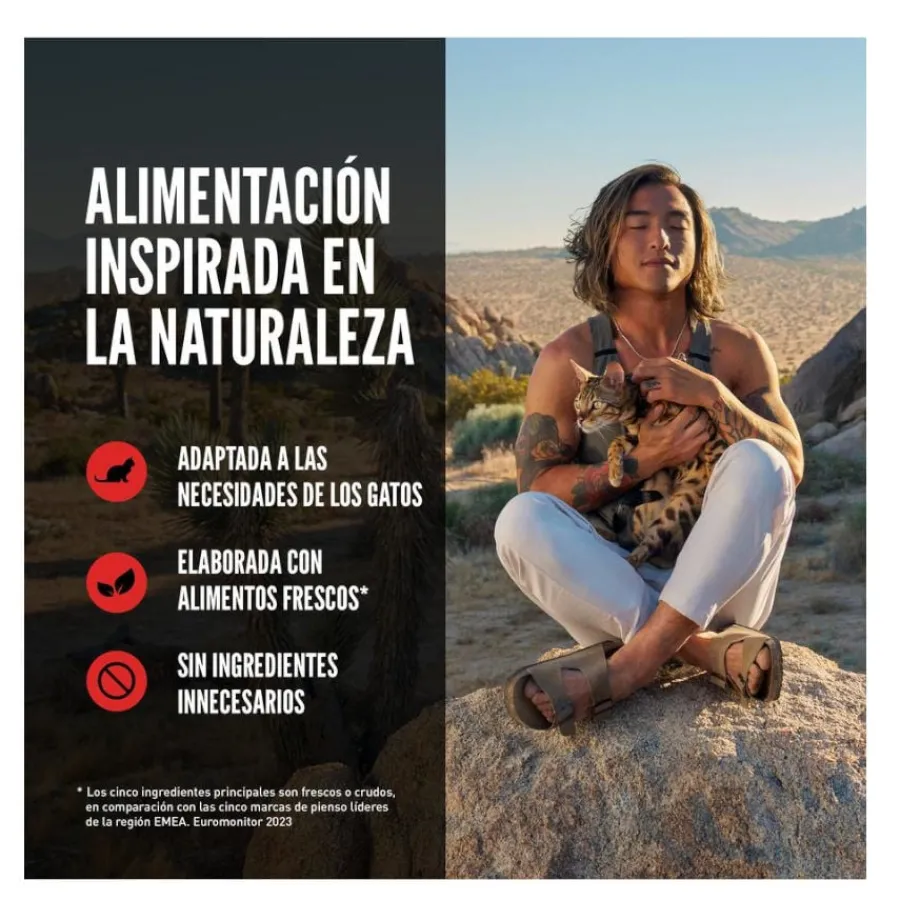 Orijen Regional Red pienso para gatos y gatitos Outlet