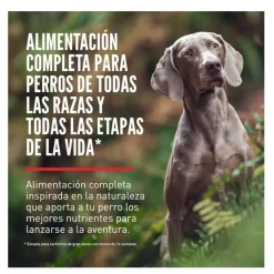 Orijen Regional Red pienso para perros Sale
