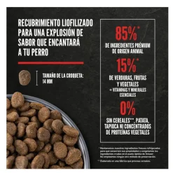 Orijen Regional Red pienso para perros Sale