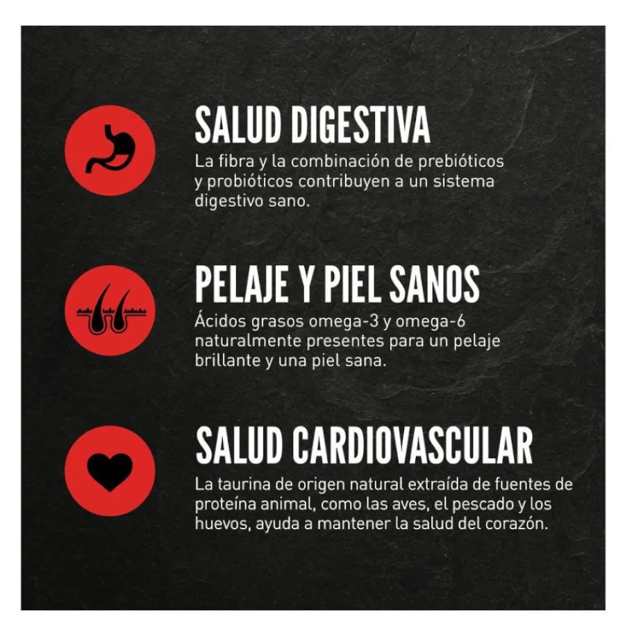 Orijen Six Fish pienso para gatos y gatitos Sale
