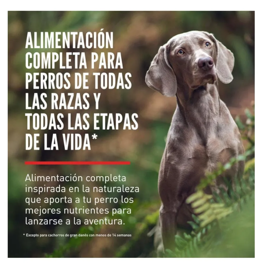 Orijen Six Fish pienso para perros Best
