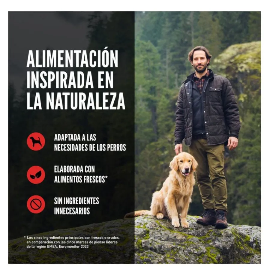 Orijen Six Fish pienso para perros Best