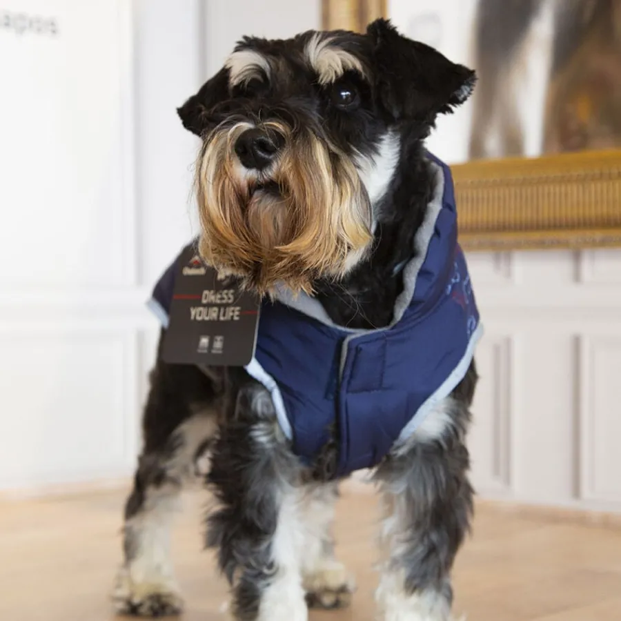 Outech Abrigo Azul con Estampado de Huesos para perros Hot