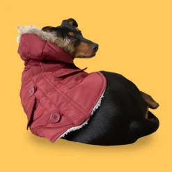 Outech Abrigo Granate con Capucha para perros Sale