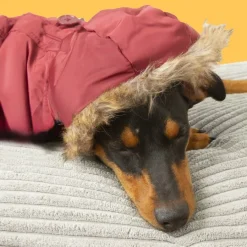 Outech Abrigo Granate con Capucha para perros Sale