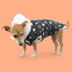 Outech Chubasquero de estrellas con borreguito para perros Online