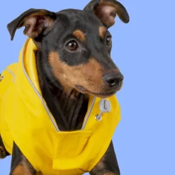 Outech Fisher Impermeable amarillo para perros Outlet