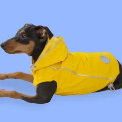 Outech Fisher Impermeable amarillo para perros Outlet