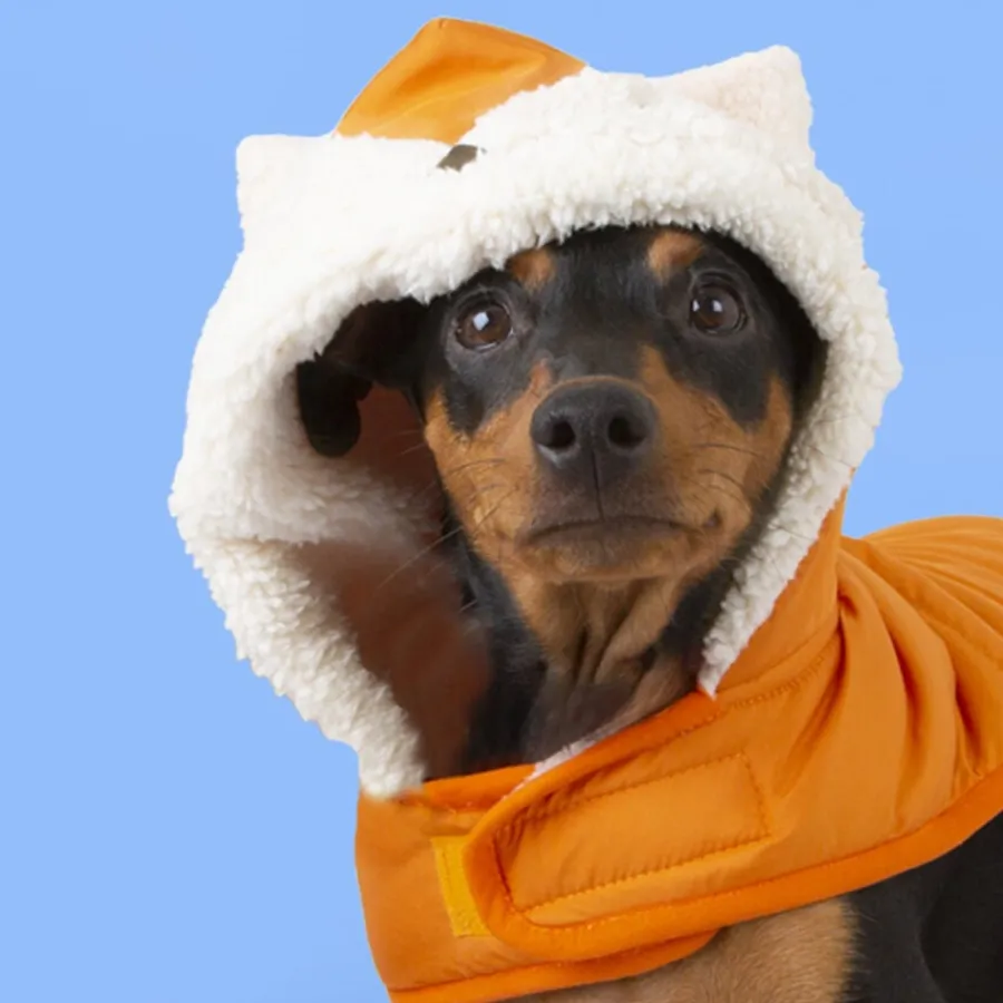 Outech Fox Abrigo para perros Clearance