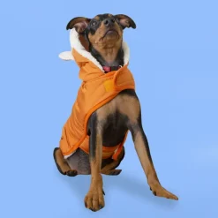Outech Fox Abrigo para perros Clearance