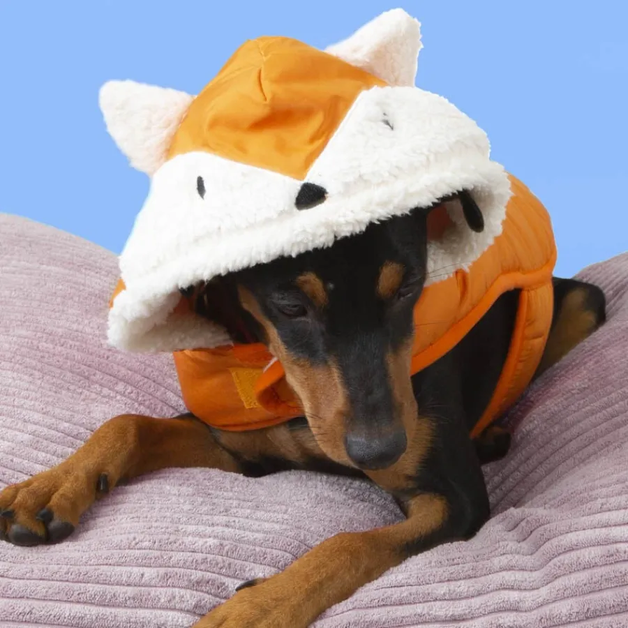 Outech Fox Abrigo para perros Clearance
