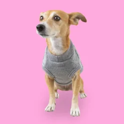 Outech Rombos Jersey de Punto Gris para perros Best