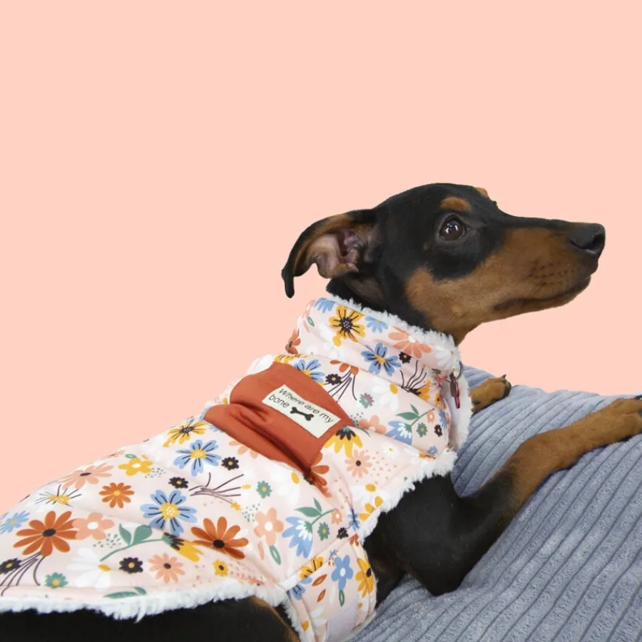 Outech Spring abrigo de flores para perros New