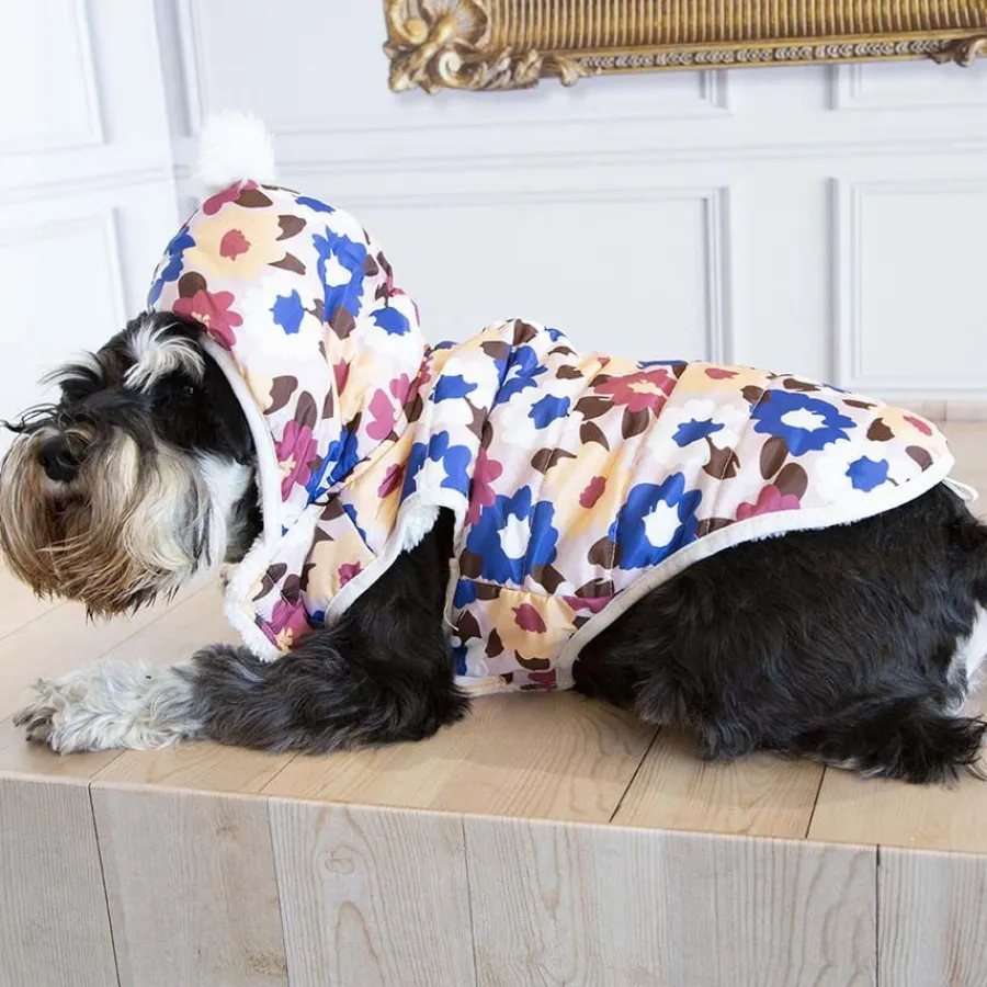Outech Spring Abrigo para perros Hot
