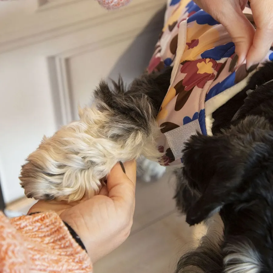 Outech Spring Abrigo para perros Hot