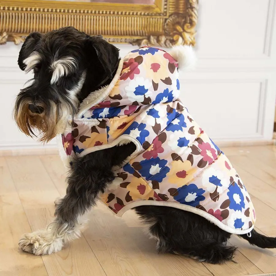 Outech Spring Abrigo para perros Hot