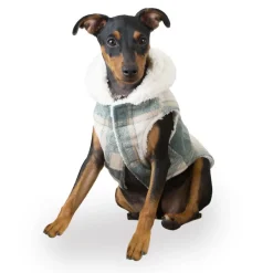 Outech Trenca Azul para perros Hot