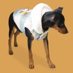 Outech Trenca Azul para perros Hot