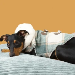 Outech Trenca Azul para perros Hot