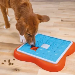 Outward Hound Challenge Slider Rompecabezas de Inteligencia para cachorros Sale