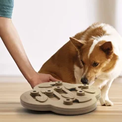 Outward Hound Hide n’ Slide Puzzle para perros