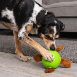 Outward Hound Snuffle n’ Treat Pelota Interactiva Portagolosinas para perros Online