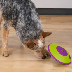 Outward Hound Treat Maze Disco Interactivo para perros
