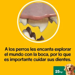 Pedigree Dentastix Snacks Dentales para perros grandes Sale
