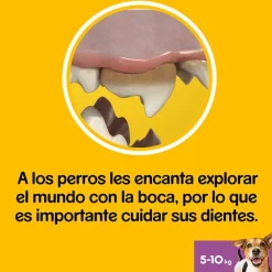 Pedigree Dentastix Snacks Dentales para perros pequeños New