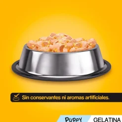 Pedigree Pollo y Buey con Arroz Gelatina en Bolsita para Cachorros - Multipack New