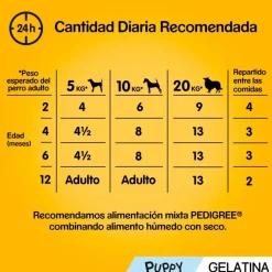 Pedigree Pollo y Buey con Arroz Gelatina en Bolsita para Cachorros - Multipack New