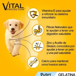 Pedigree Pollo y Buey con Arroz Gelatina en Bolsita para Cachorros - Multipack New