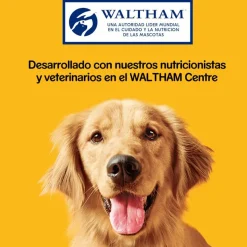 Pedigree Tasty Mini Snacks Sabor Queso y Buey para Perros