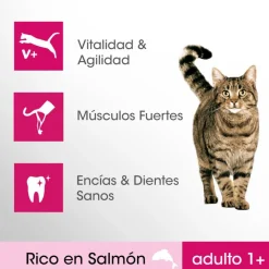 Perfect Fit Adult 1+ Esterilizado Salmón pienso para gatos Discount