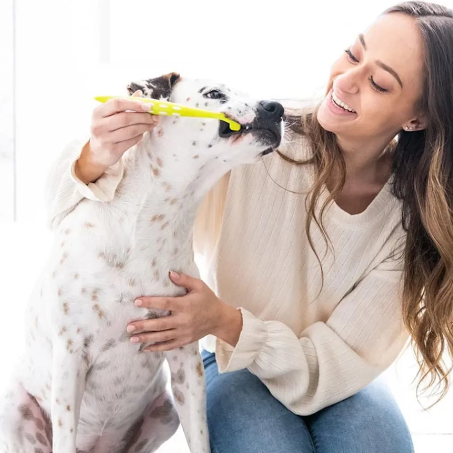 Petosan Kit Dental Grande para perros y gatos Clearance