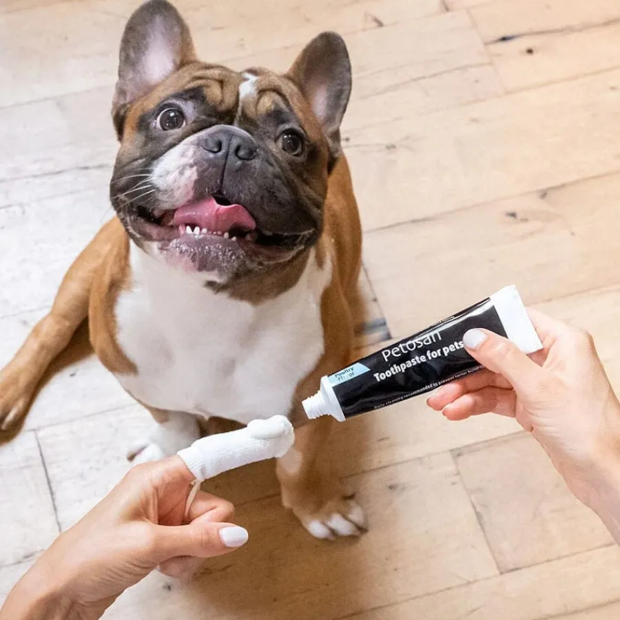 Petosan Pasta de Dientes con Sabor a Pollo para perros y gatos Clearance