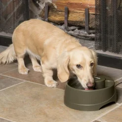PetSafe Drinkwell Bebedero Automático para perros y gatos Sale