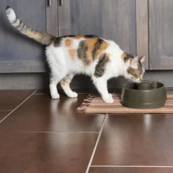 PetSafe Drinkwell Bebedero Automático para perros y gatos Sale