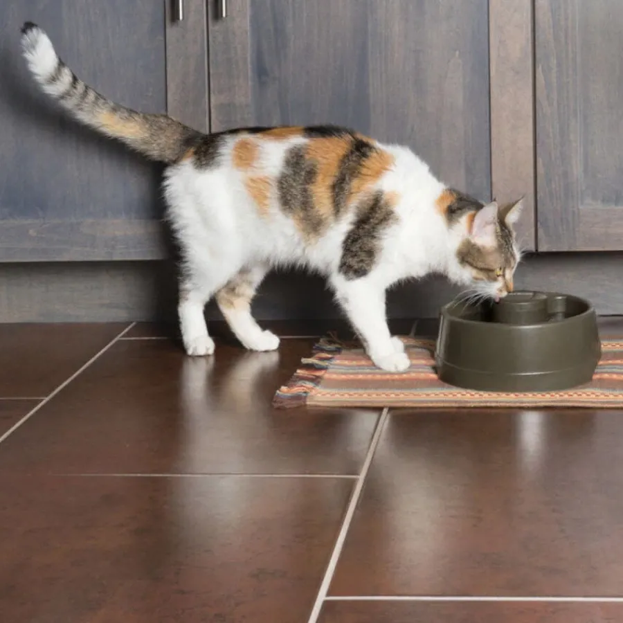 PetSafe Drinkwell Bebedero Automático para perros y gatos Sale