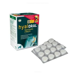 Pharmadiet Hyaloral Condoprotector para perros de razas grandes y gigantes Outlet