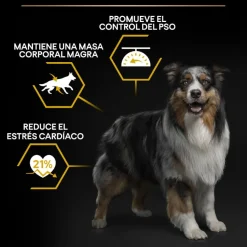 Pro Plan Adult All Sizes Light/Sterilised Pescado Blanco pienso para perros Best