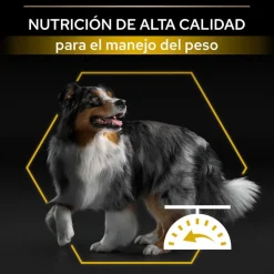 Pro Plan Adult All Sizes Light/Sterilised Pescado Blanco pienso para perros Best