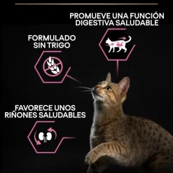 Pro Plan Adult Delicate Digestion pavo pienso para gatos Best