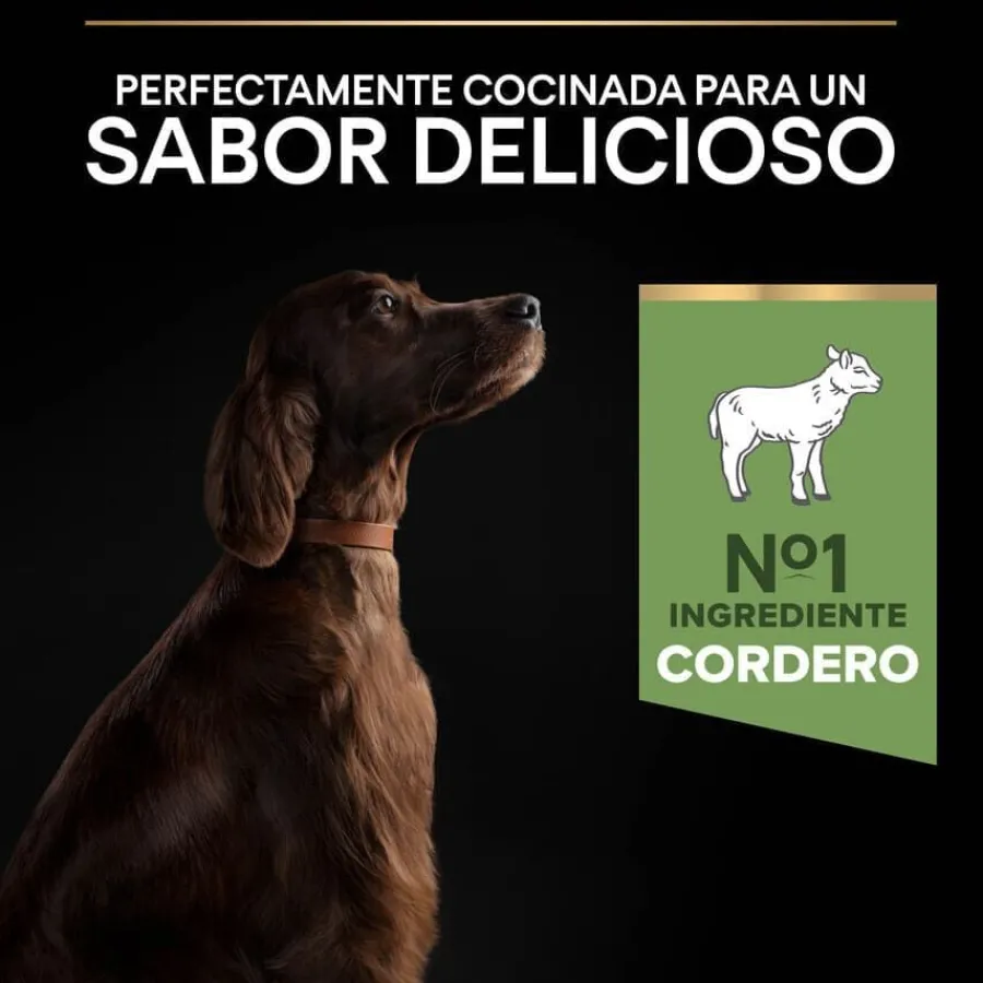 Pro Plan Adult Large Athletic Digestión Cordero pienso para perros Discount