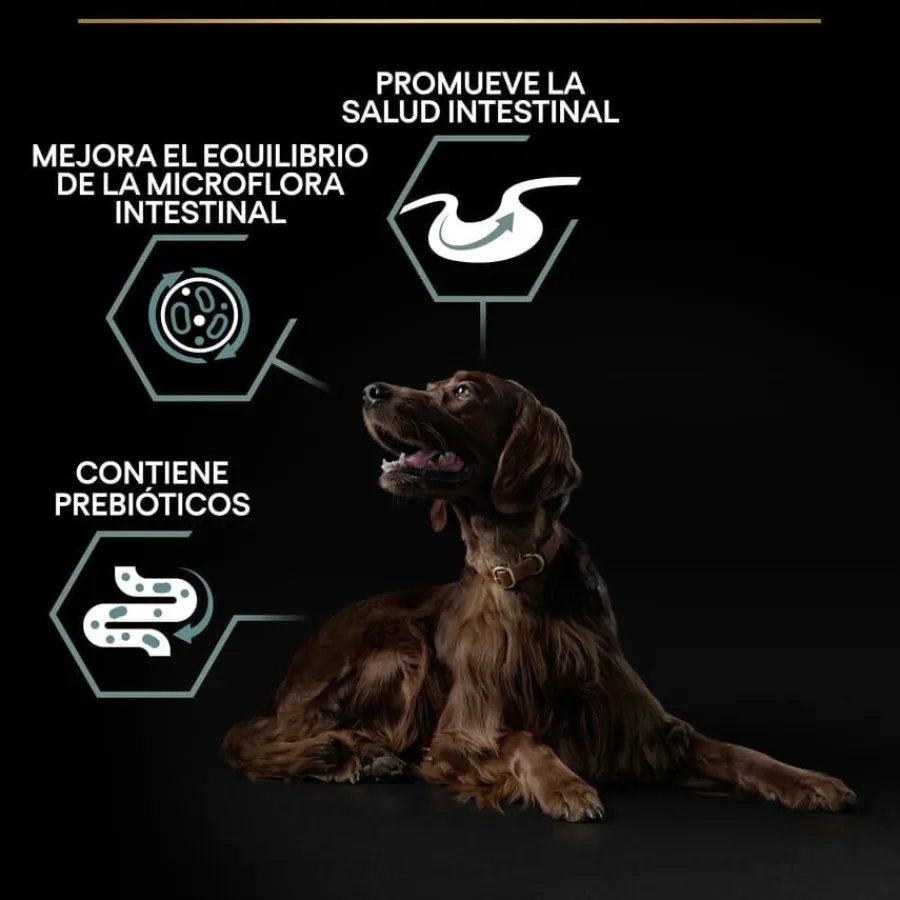Pro Plan Adult Large Athletic Digestión Cordero pienso para perros Discount