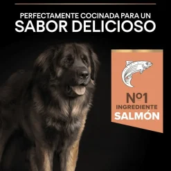 Pro Plan Adult Large Robust Salmón pienso para perros Piel Sensible Sale