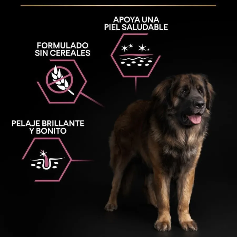 Pro Plan Adult Large Robust Salmón pienso para perros Piel Sensible Sale