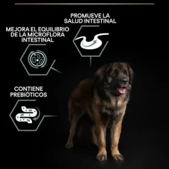 Pro Plan Adult Large Robust Digestión Cordero pienso para perros Discount