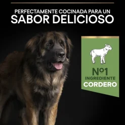 Pro Plan Adult Large Robust Digestión Cordero pienso para perros Discount