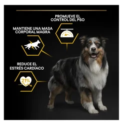 Pro Plan Adult Light/Sterilised Pollo pienso para perros Best